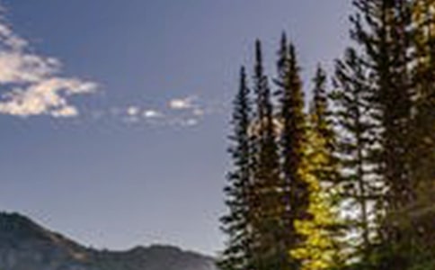 ��Ȼ֮̎�Լ������L(f��ng)��