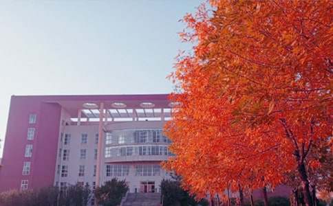 ���Ց������ģ�ͨ��55ƪ��