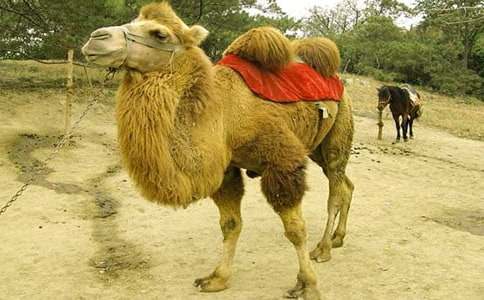 ���񄃞��̰������x15ƪ��