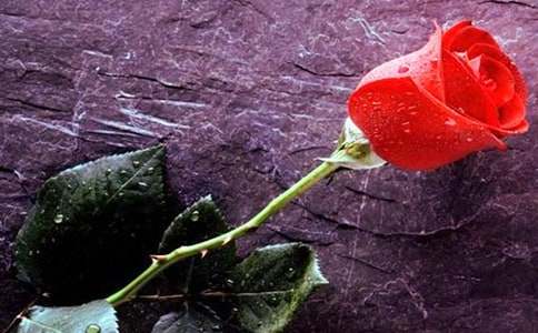 õ�廨�Ļ��Z