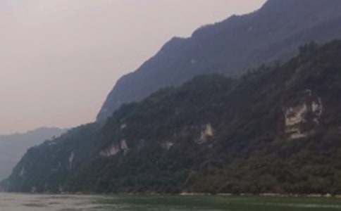 ���P���{�Č����~